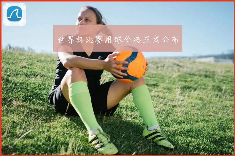 世界杯比赛用球价格正式公布