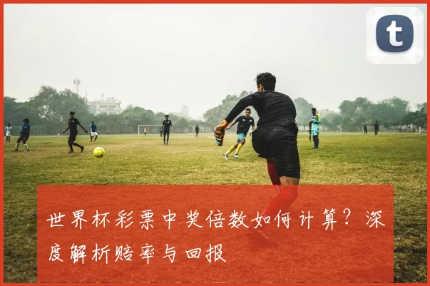 世界杯彩票中奖倍数如何计算？深度解析赔率与回报