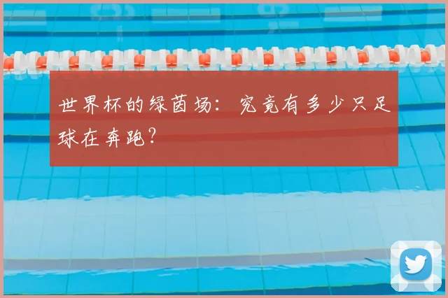 世界杯的绿茵场：究竟有多少只足球在奔跑？