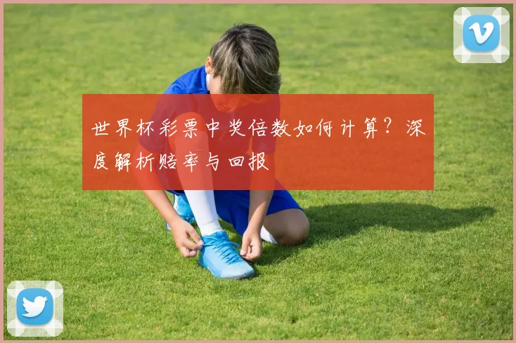 世界杯彩票中奖倍数如何计算？深度解析赔率与回报