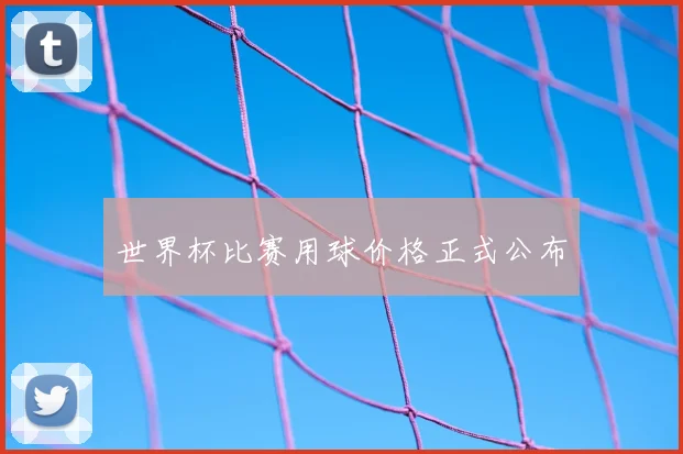 世界杯比赛用球价格正式公布