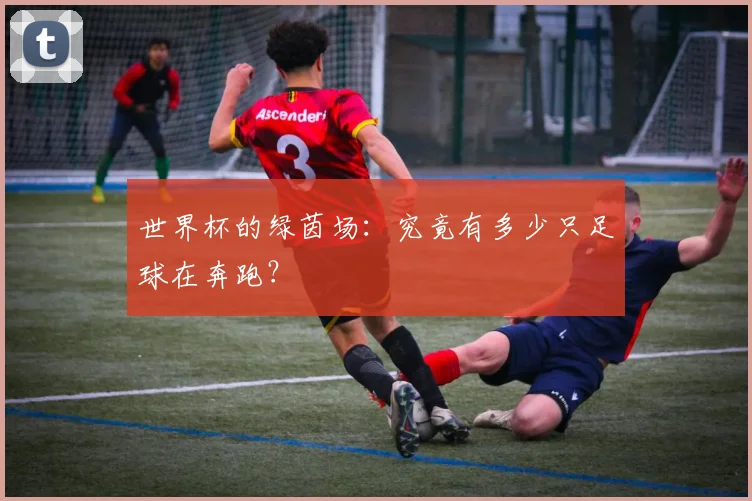 世界杯的绿茵场:究竟有多少只足球在奔跑?