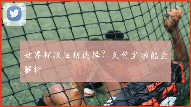 世界杯投注新选择?支付宝功能全解析