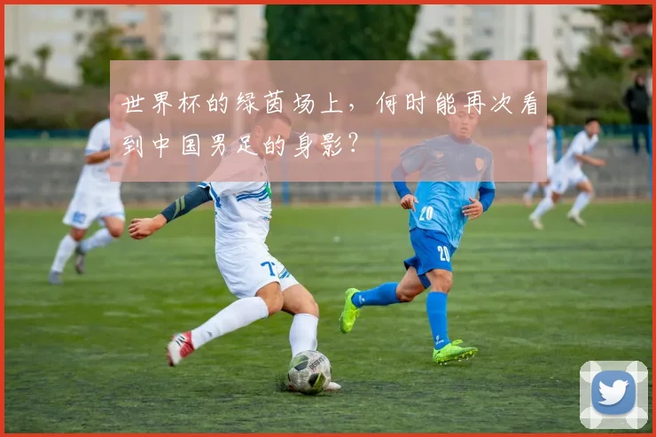 世界杯的绿茵场上，何时能再次看到中国男足的身影？
