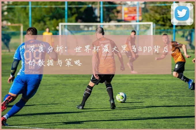 深度分析:世界杯最大黑马app背后的数据与策略