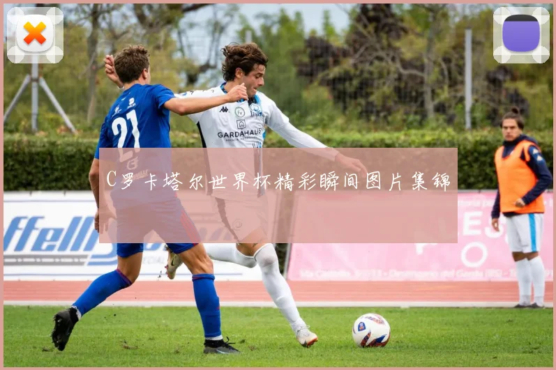 C罗卡塔尔世界杯精彩瞬间图片集锦