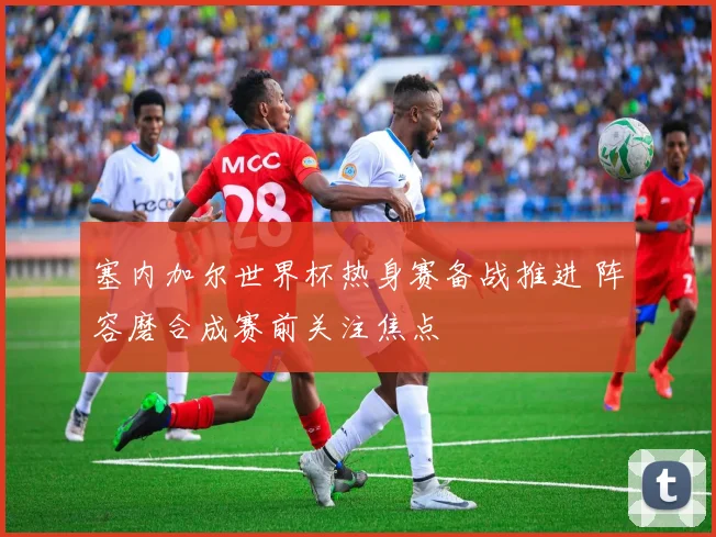 塞内加尔世界杯热身赛备战推进 阵容磨合成赛前关注焦点
